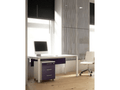 שולחן עבודה דגם סטטוס - new-office-masters
